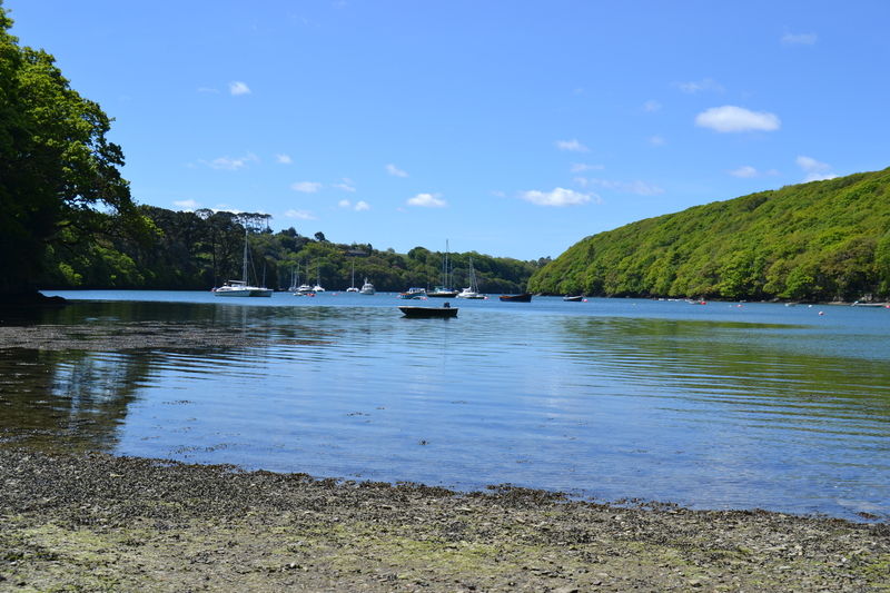 Budock Vean Hotel Falmouth Exterior foto